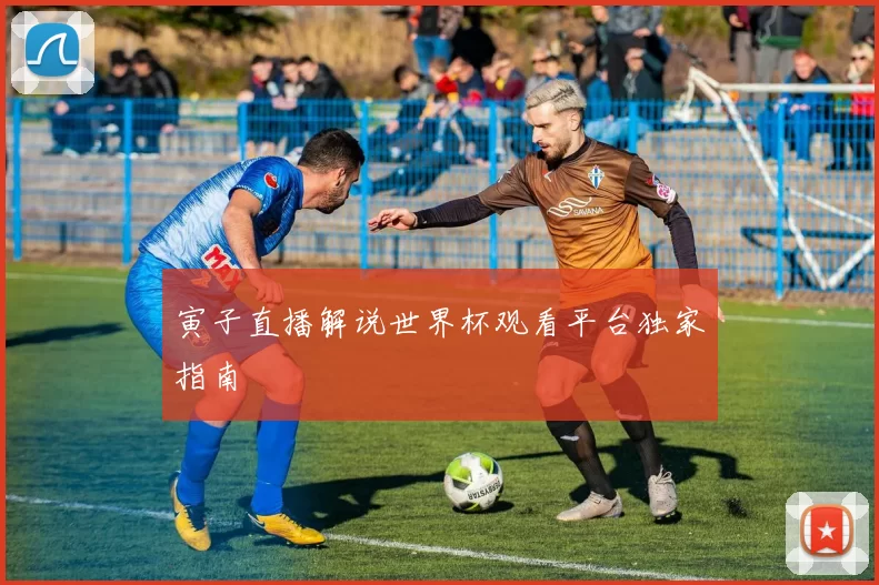 寅子直播解说世界杯观看平台独家指南