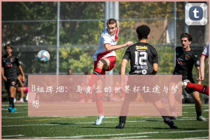 B组烽烟：乌克兰的世界杯征途与梦想