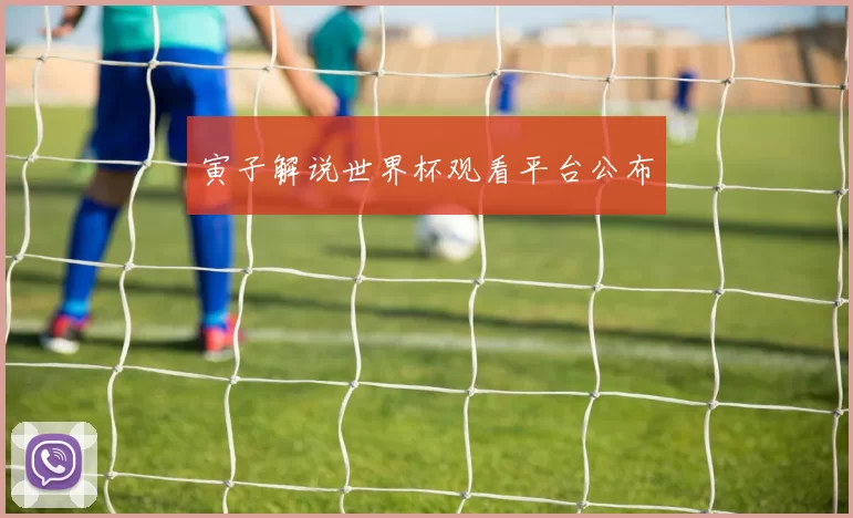寅子解说世界杯观看平台公布