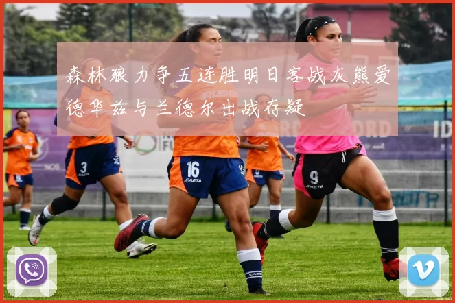 森林狼力争五连胜明日客战灰熊爱德华兹与兰德尔出战存疑