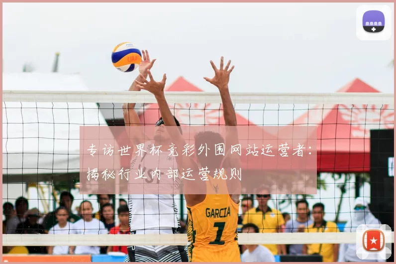 专访世界杯竞彩外围网站运营者：揭秘行业内部运营规则