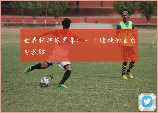 世界杯押球黑幕：一个赌徒的自白与救赎