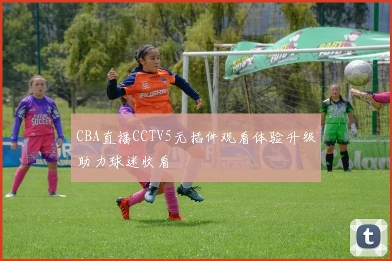 CBA直播CCTV5无插件观看体验升级助力球迷收看